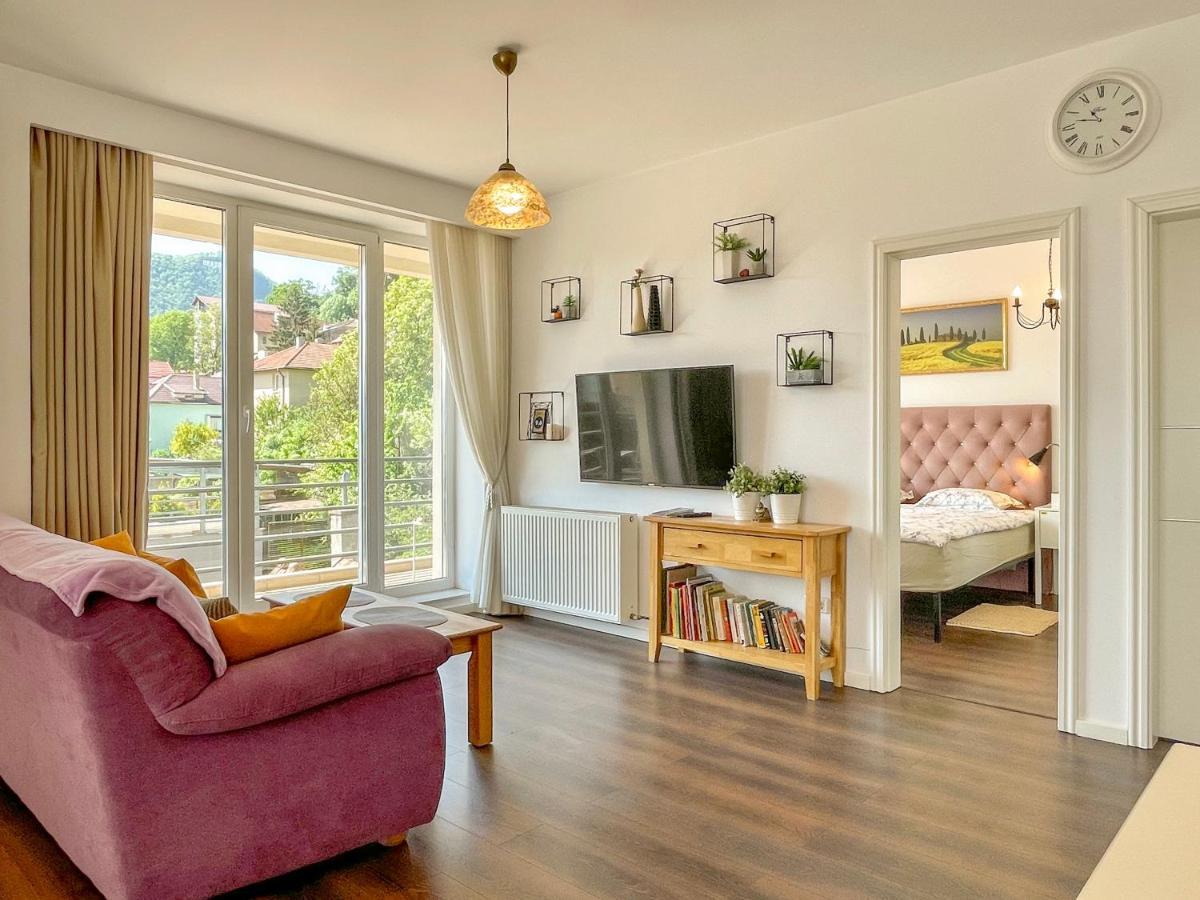 Central Premium Apartment براشوف المظهر الخارجي الصورة